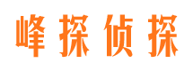 平果侦探